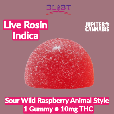 Blast Blast Sour Wild Raspberry Animal Style Live Rosin Gummy - Jupiter Cannabis Winnipeg