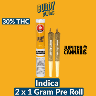 Buddy Blooms Buddy Blooms Big Buddy Indica 1g Joint 2 Pack - Jupiter Cannabis Winnipeg