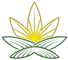 Cannjah Cannjah PATIENT GROWN PR3X0.5G Tectonic Truffle Hybrid – 1.5 g - Jupiter Cannabis Winnipeg
