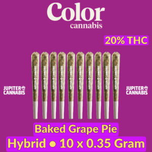 Color Cannabis Baked Grape Pie 10 Pack