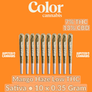 Color Cannabis Mango Haze 10 Pack