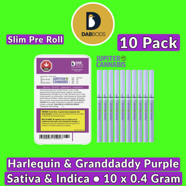 Dab Bods Harlequin & Granddaddy Purple Pre Slim Rolls 10 Pack