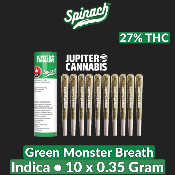 Spinach Green Monster Breath 10 Pack