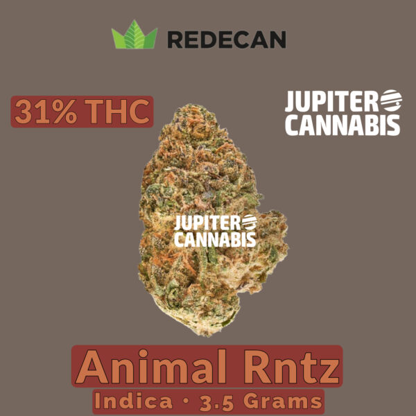 Redecan Animal Rntz 3.5 g