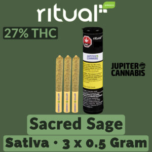 Ritual Sticks Sacred Sage Pre Rolls 3 Pack