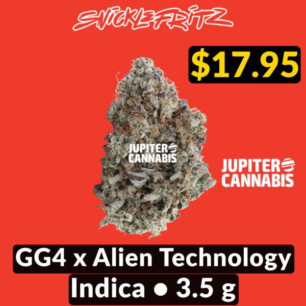 Snicklefritz GG4 x Alien Technology