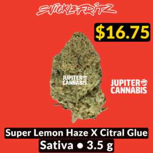 Snicklefritz Super Lemon Haze X Citral Glue