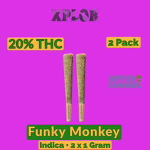 Xplor Funky Monkey 1g Joint 2 Pack