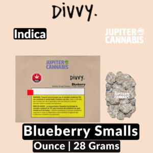 Divvy Blueberry Smalls Ounce