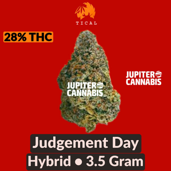 Tical Judgement Day 3.5 Gram