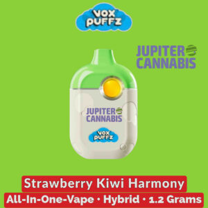 VoxPuffz Strawberry Kiwi Harmony 1.2g