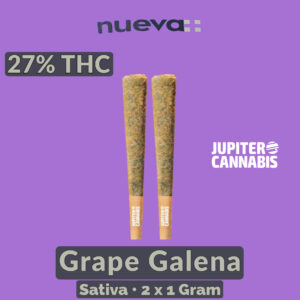 Nueva Grape Galena Pre Rolls 2 Pack