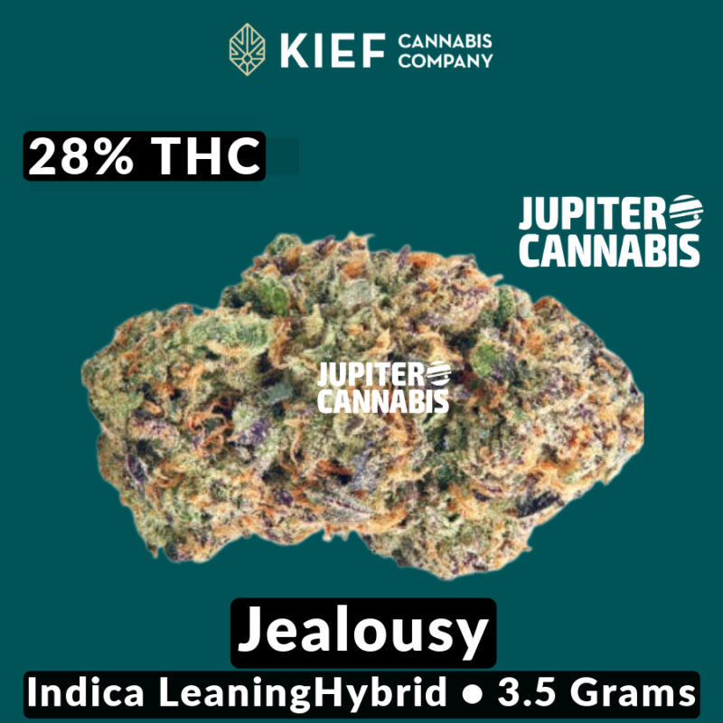 Kief Cannabis Kief Cannabis Jealousy - Jupiter Cannabis Winnipeg