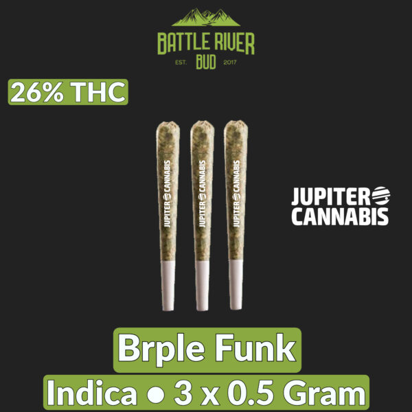 Battle River Bud Brple Funk 3 Pack