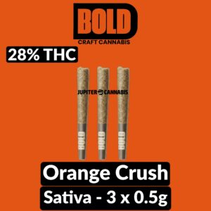 Bold Orange Crush Pre Rolls 3 Pack