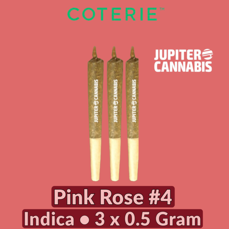 Coterie Coterie Pink Rose #4 3 Pack - Jupiter Cannabis Winnipeg