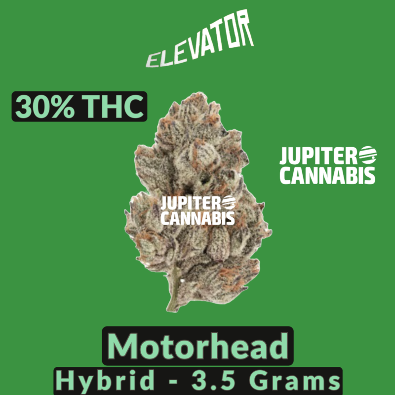 Elevator Elevator Motorhead 3.5 g - Jupiter Cannabis Winnipeg