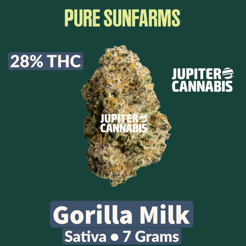 Pure Sunfarms Pure Sunfarms Gorilla Milk 7 grams - Jupiter Cannabis Winnipeg