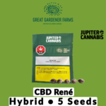 Great Gardener Farms Great Gardener Farms CBD Rene 5 Seeds - Jupiter Cannabis Winnipeg