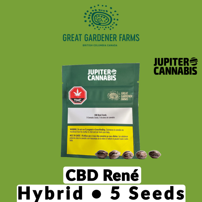 Great Gardener Farms Great Gardener Farms CBD Rene 5 Seeds - Jupiter Cannabis Winnipeg