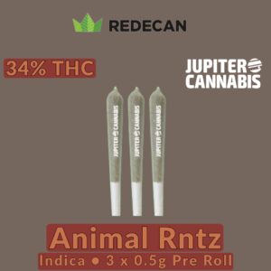 Redecan Animal RNTZ 3 Pack Indica