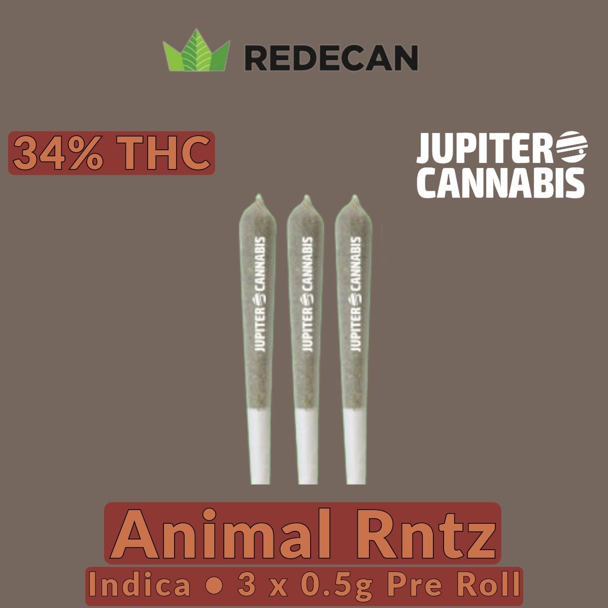 Redecan Animal RNTZ 3 Pack Indica