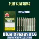 Pure Sunfarms Pure Sunfarms Blue Dream #16 10 Pack - Jupiter Cannabis Winnipeg