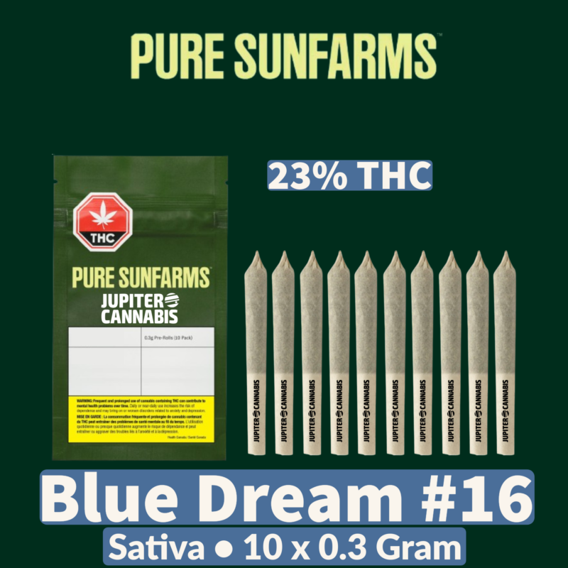 Pure Sunfarms Pure Sunfarms Blue Dream #16 10 Pack - Jupiter Cannabis Winnipeg