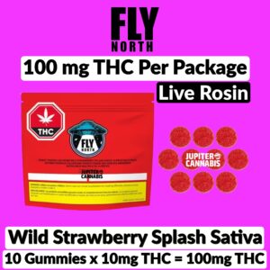 Fly North Wild Strawberry Splash Sativa 100mg Gummies
