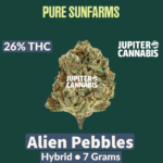 Pure Sunfarms Pure Sunfarms Alien Pebbles 7g - Jupiter Cannabis Winnipeg