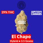 Cultures Chloris Cultures Chloris El Chapo 3.5G Hybrid - Jupiter Cannabis Winnipeg