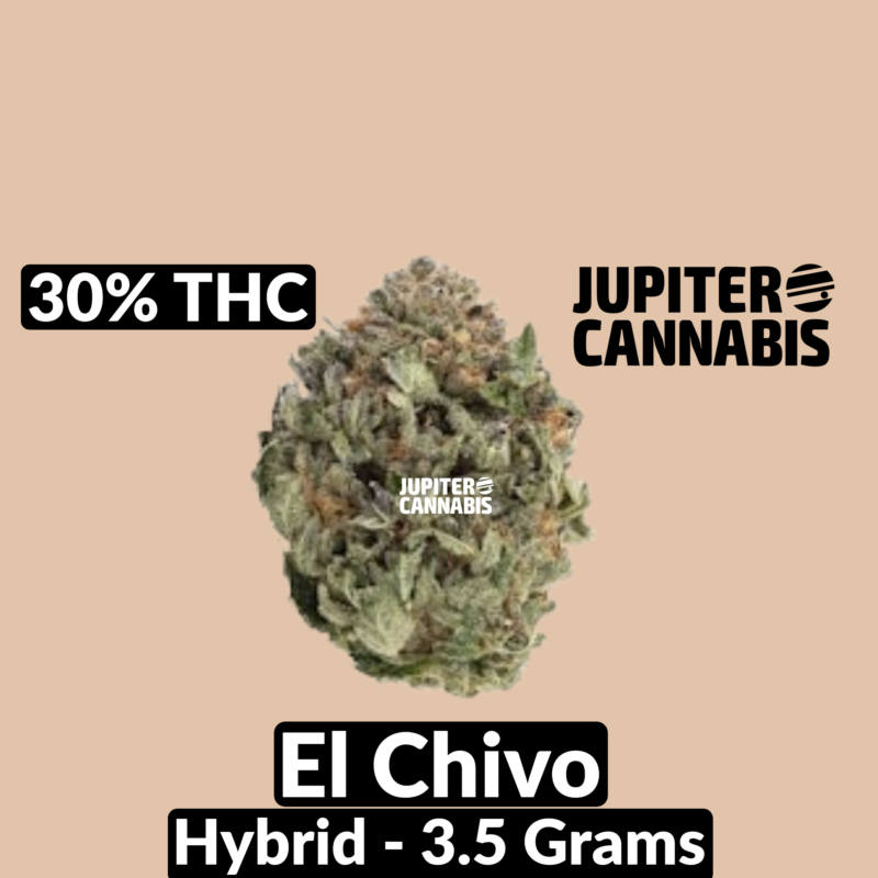 Antidote Chubby El Chivo (Wedding Cake x Chemdawg) - Jupiter Cannabis Winnipeg
