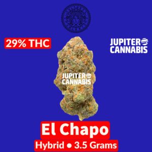 Cultures Chloris El Chapo 3.5G Hybrid