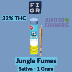 FIGR Jungle Fumes 1 Gram Pre Roll