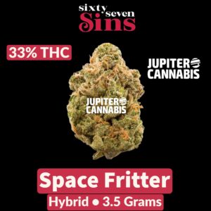 Sixty Seven Sins Space Fritter
