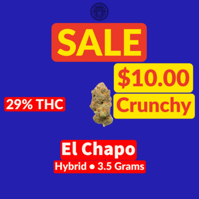 Cultures Chloris Cultures Chloris El Chapo 3.5G Hybrid - Jupiter Cannabis Winnipeg