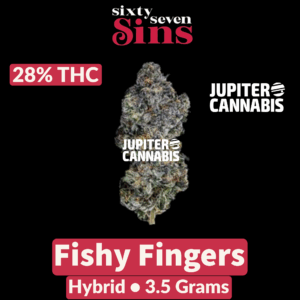 Sixty Seven Sins Fishy Fingers