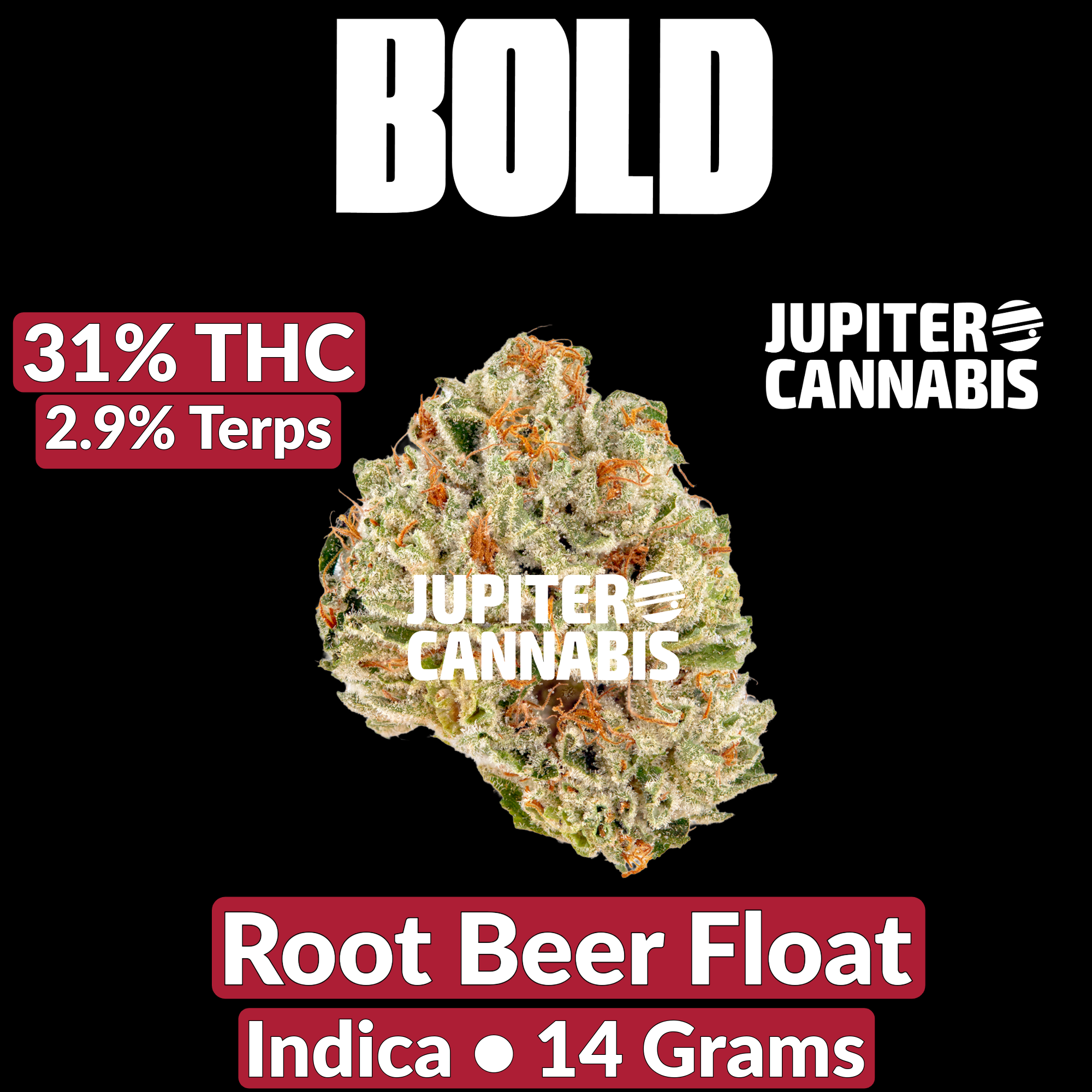 Bold Root Beer Float 14g