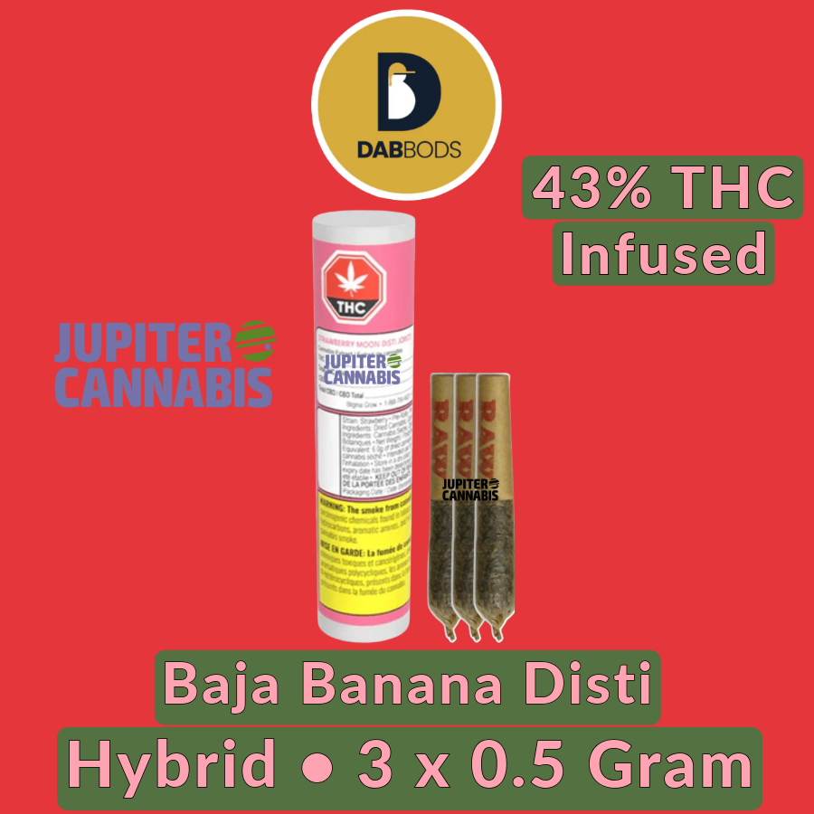 Dab Bods Strawberry Moon Disti Joints 3 Pack