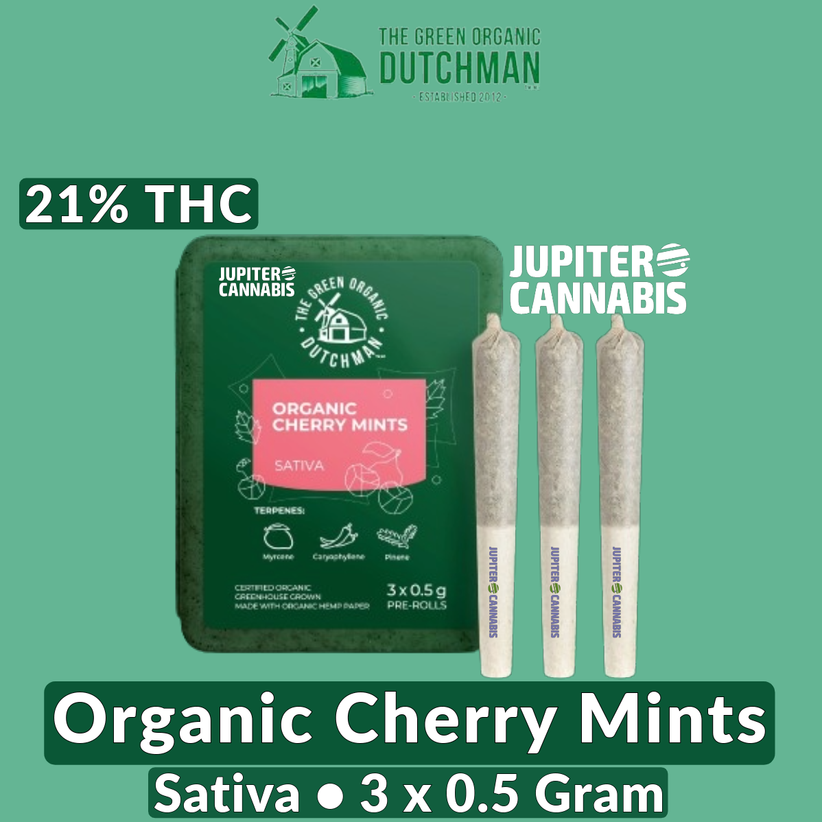 TGOD Organic Cherry Mints 3 Pack
