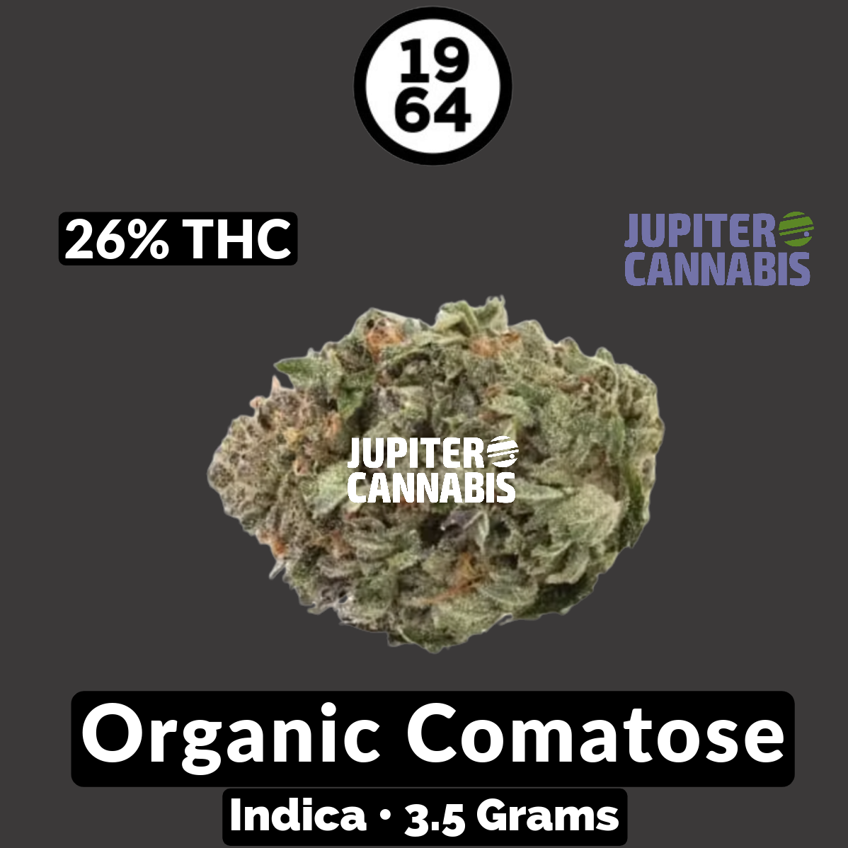 1964 Organic Comatose