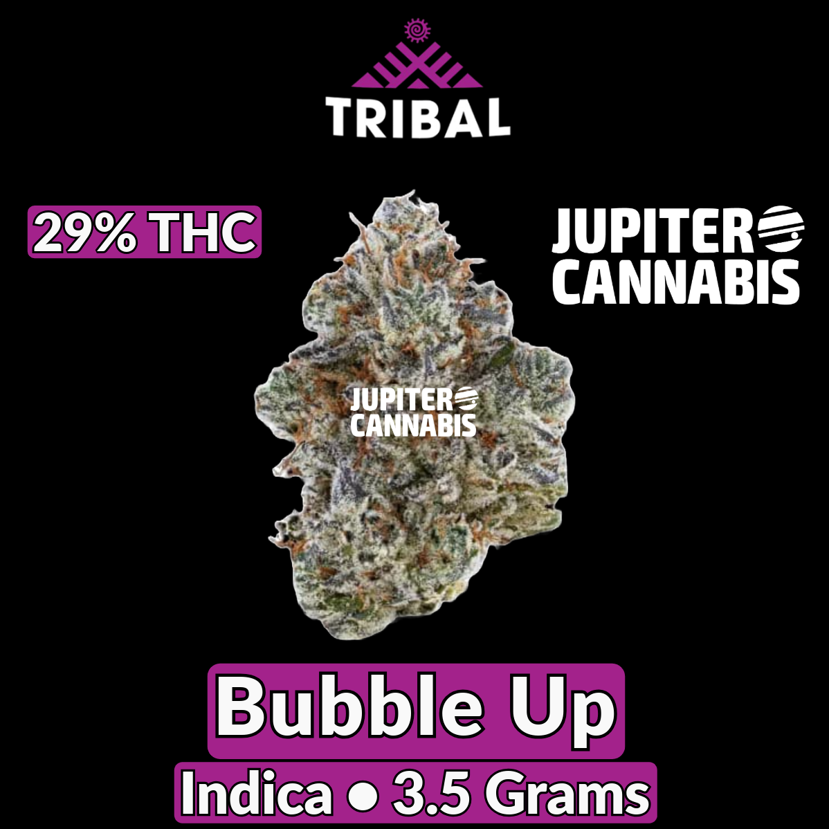 Tribal Bubble Up 3.5 g