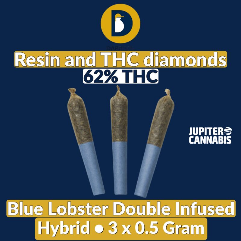 Dab Bods Dab Bods Blue Lobster Double Infused 3×0.5g - Jupiter Cannabis Winnipeg