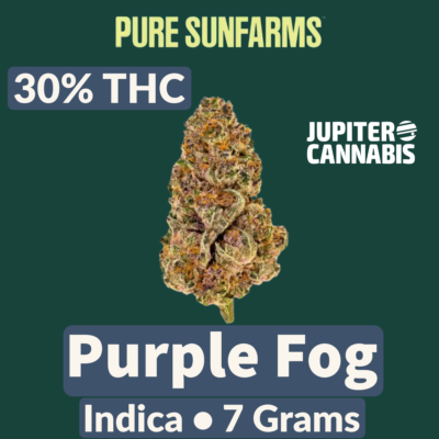 Pure Sunfarms Pure Sunfarms Purple Fog 7 Grams - Jupiter Cannabis Winnipeg