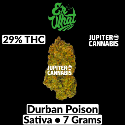 Er'What Er’What Durban Poison Durban Poison Sativa 7.0g - Jupiter Cannabis Winnipeg