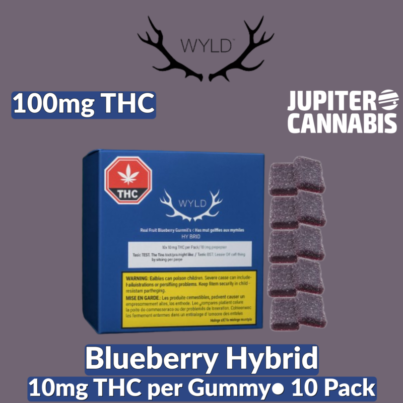 Wyld Wyld Blueberry THC 10 Pack Hybrid - Jupiter Cannabis Winnipeg