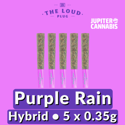 The Loud Plug The Loud Plug Purple Rain Candy 5 Pack - Jupiter Cannabis Winnipeg