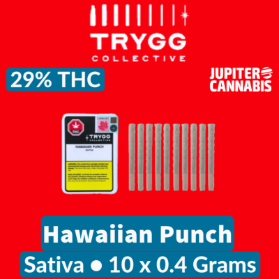 Trygg Trygg Hawaiian Punch 10 Pack - Jupiter Cannabis Winnipeg
