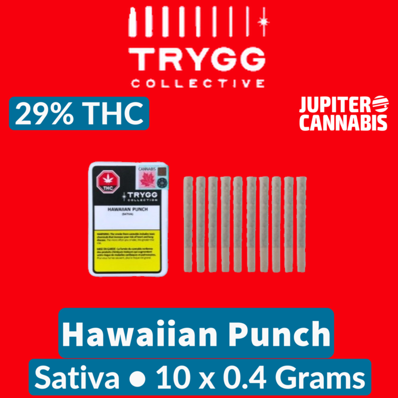 Trygg Trygg Hawaiian Punch 10 Pack - Jupiter Cannabis Winnipeg