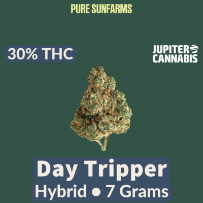 Pure Sunfarms Pure Sunfarms Day Tripper 7g - Jupiter Cannabis Winnipeg